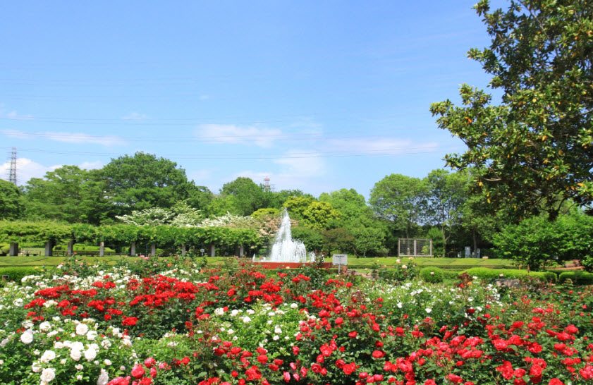Ibaraki Botanical Garden, Japan